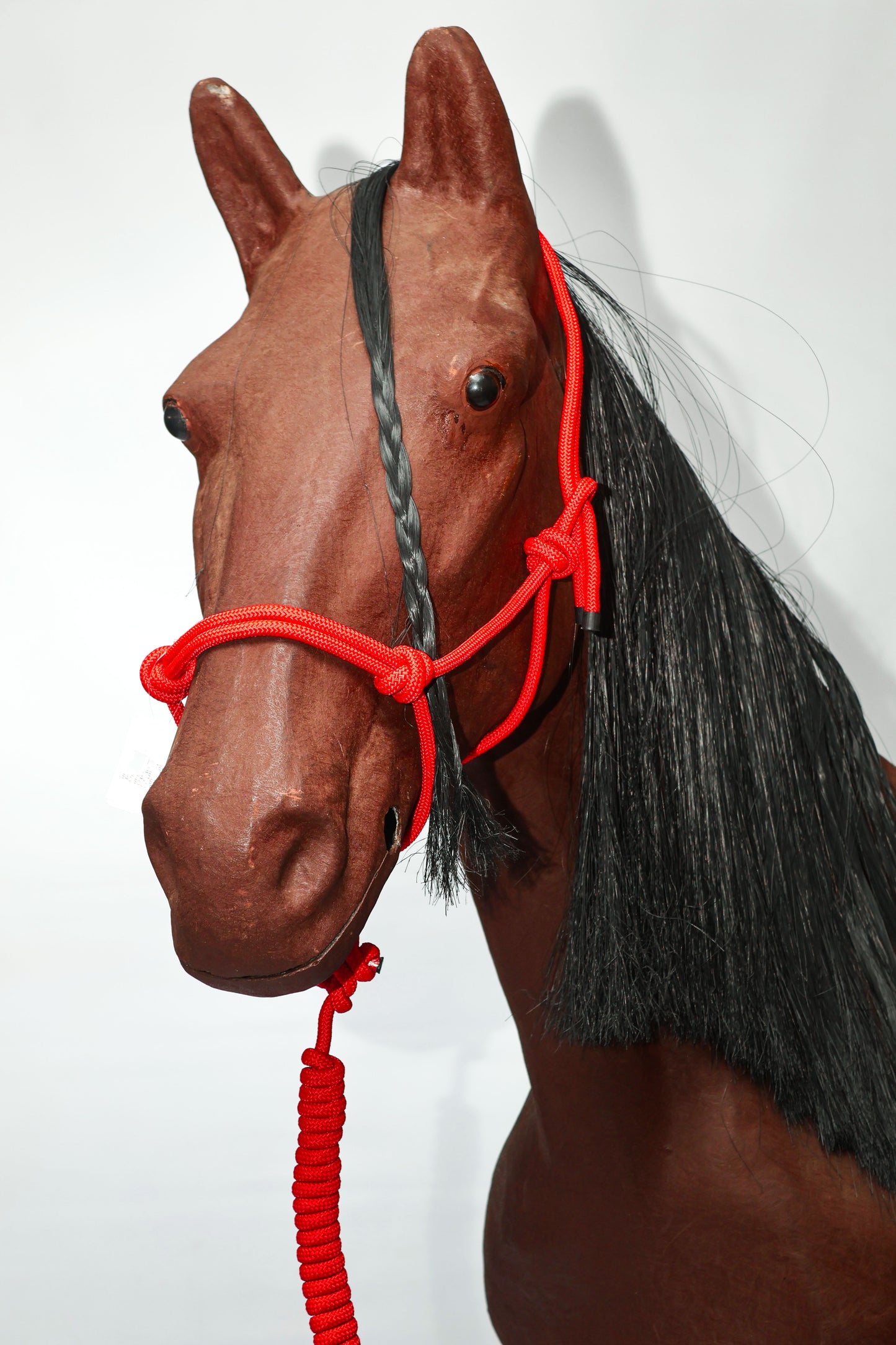 Rope Halter Plus Lead