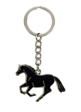 Canter keyring