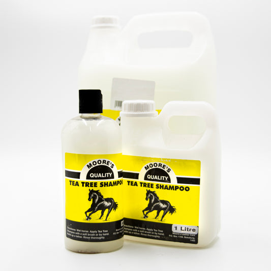Moore's Tee Tree Shampoo