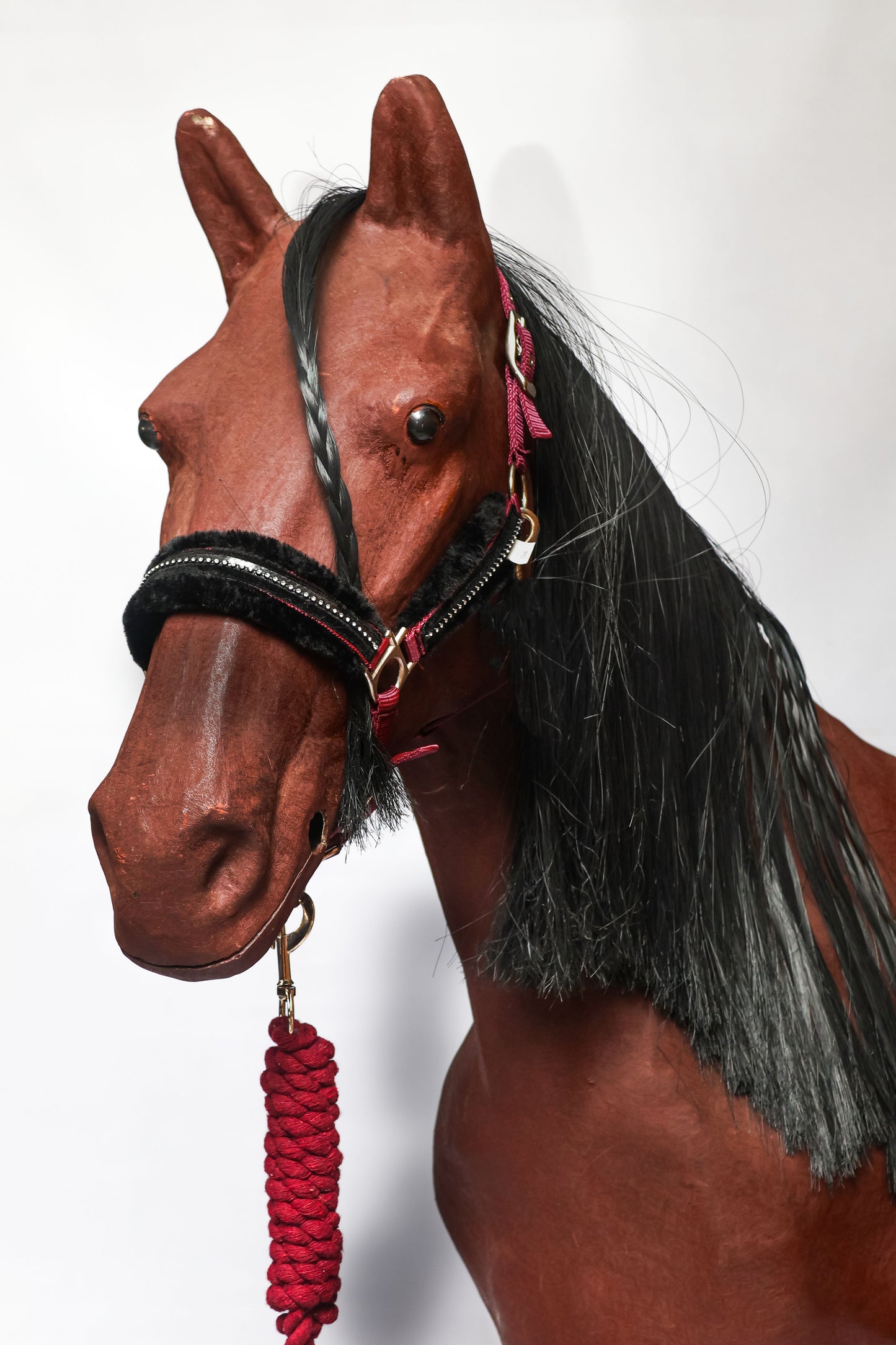 Halter Equistyle Stellar