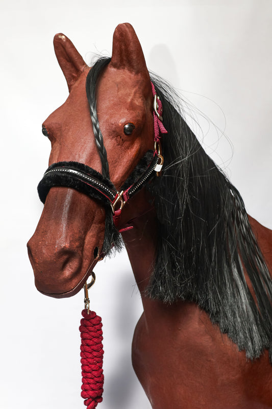 Halter Equistyle Stellar
