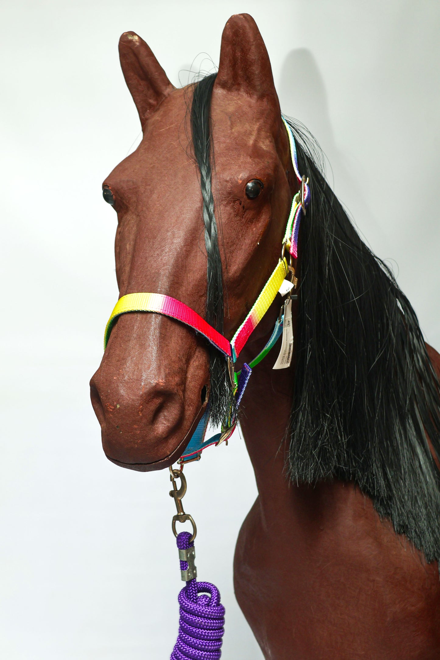 Halter Equistyle Rainbow