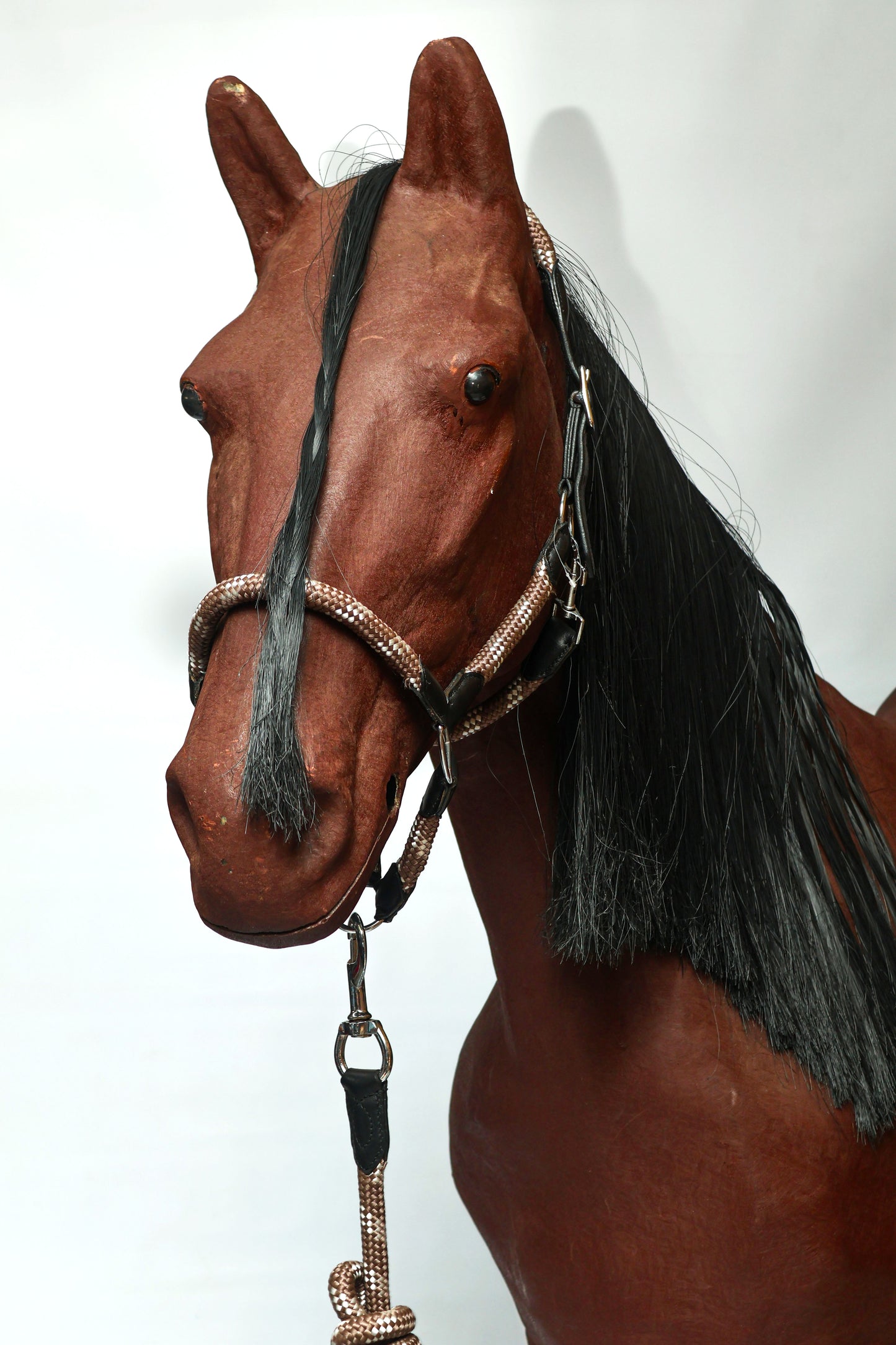 Blue Steel Leather Halter Brown