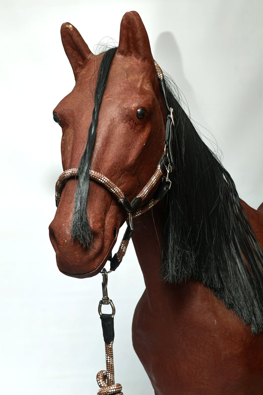 Blue Steel Leather Halter Brown