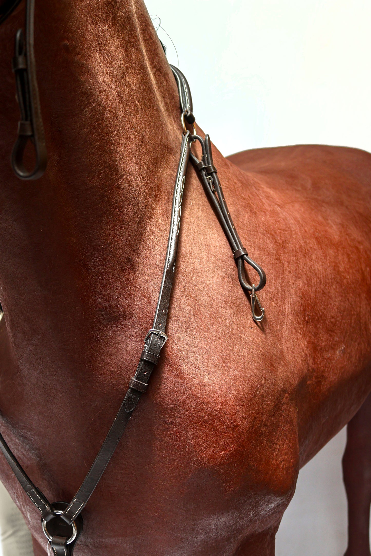 Breastplate RS MG ATT.