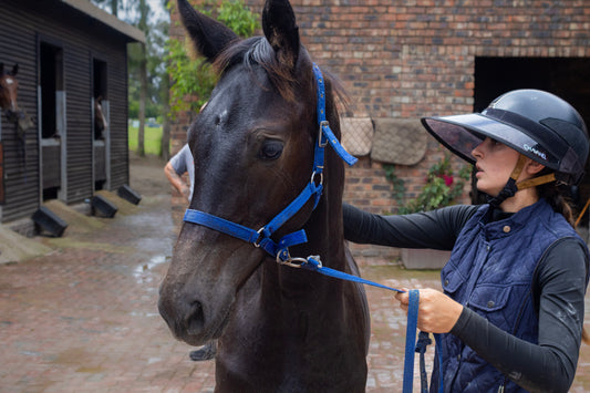 Foal Halter