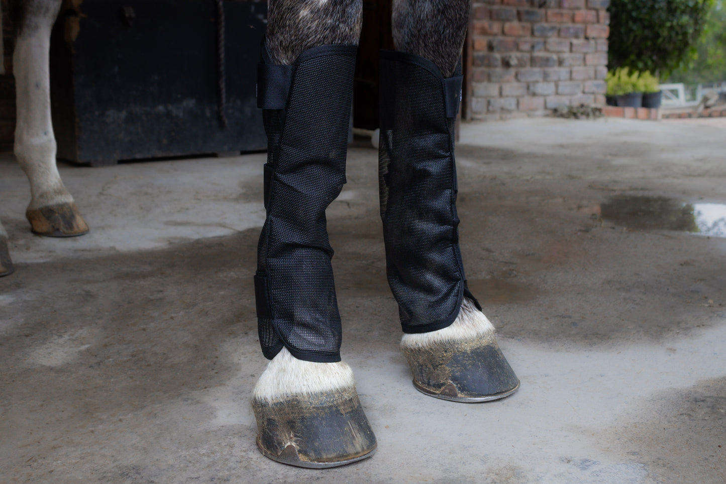 Fly Boots