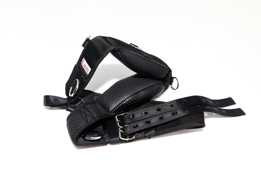 Lunge Roller Aerolite