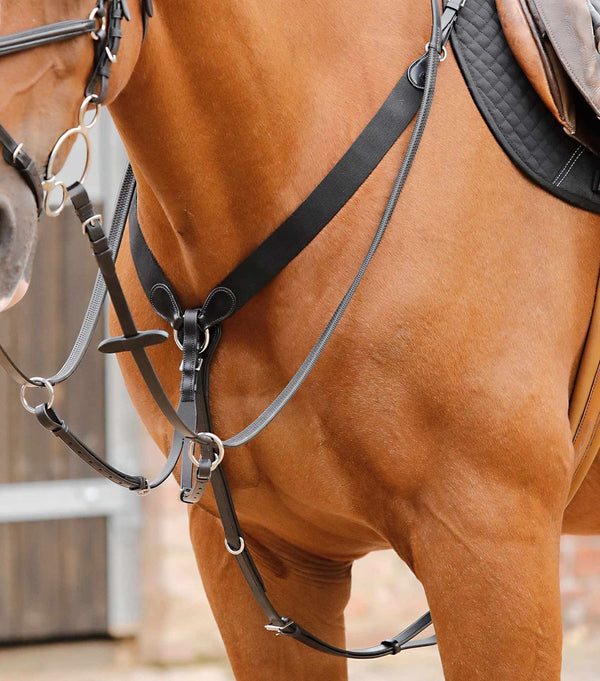 Breastplate/Martingale